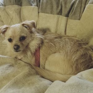 Meet your Posher, Denise